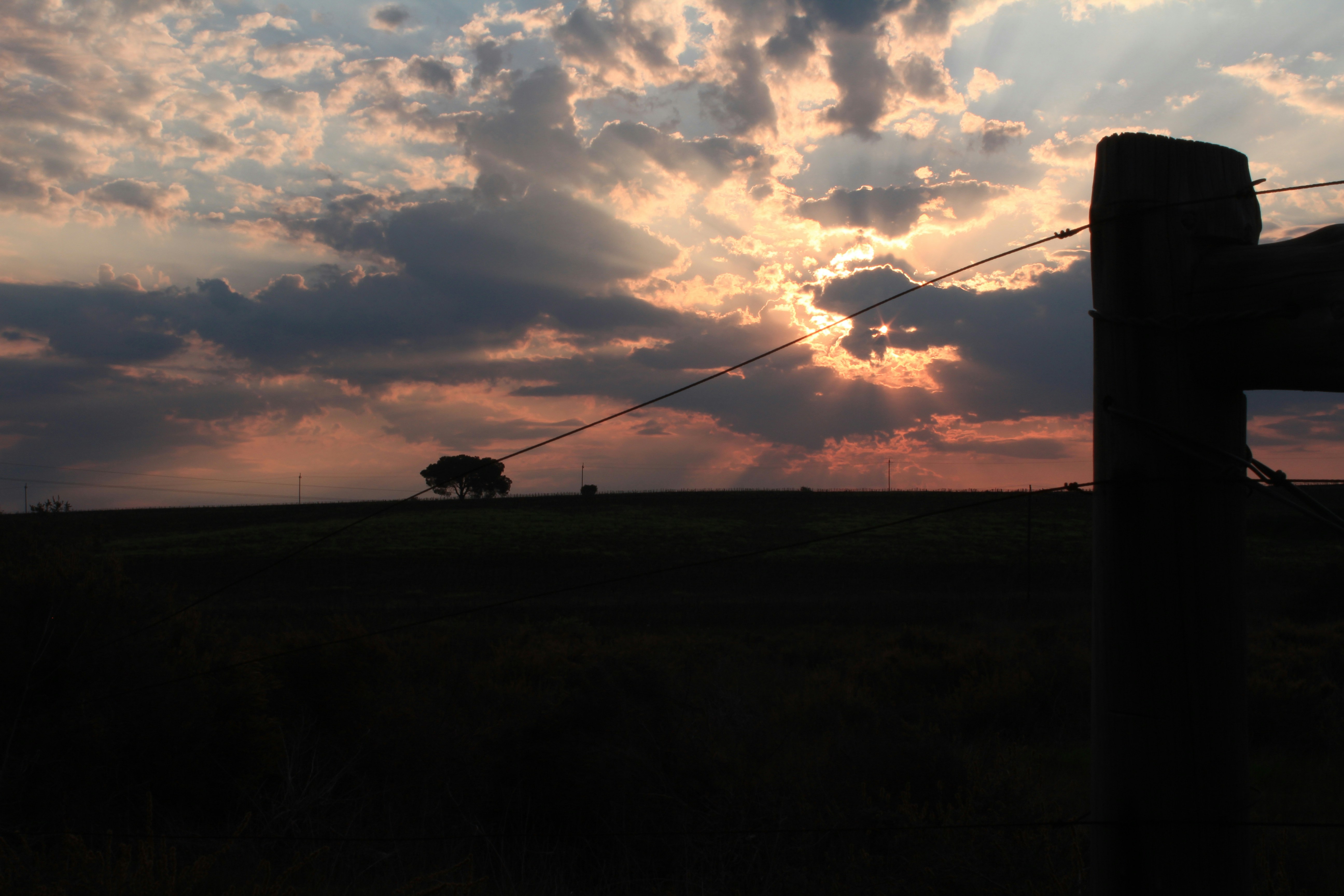 Free Unsplash photo from Rudi Strydom