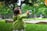 selective photo of a girl holding bubbles