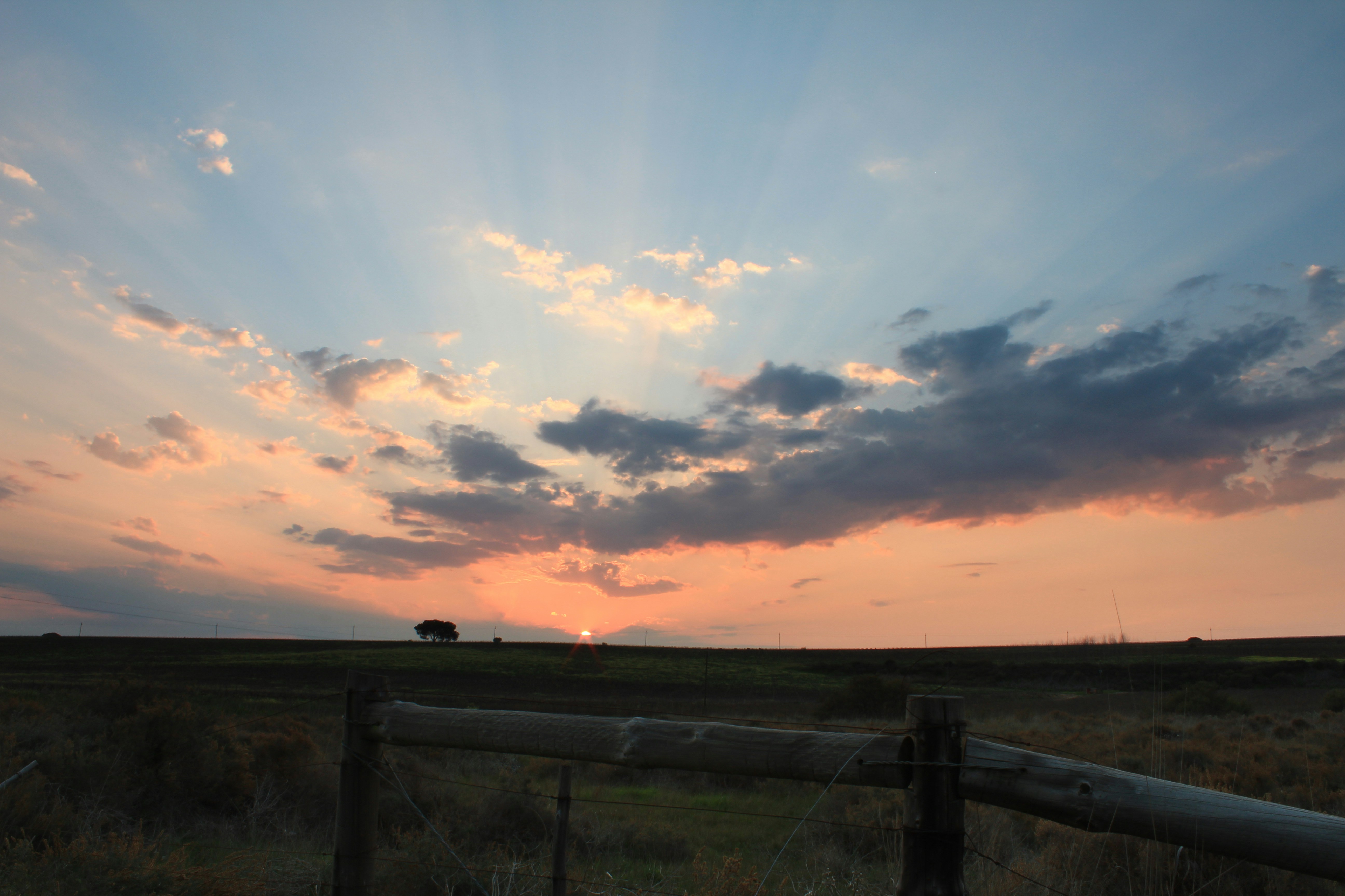 Free Unsplash photo from Rudi Strydom