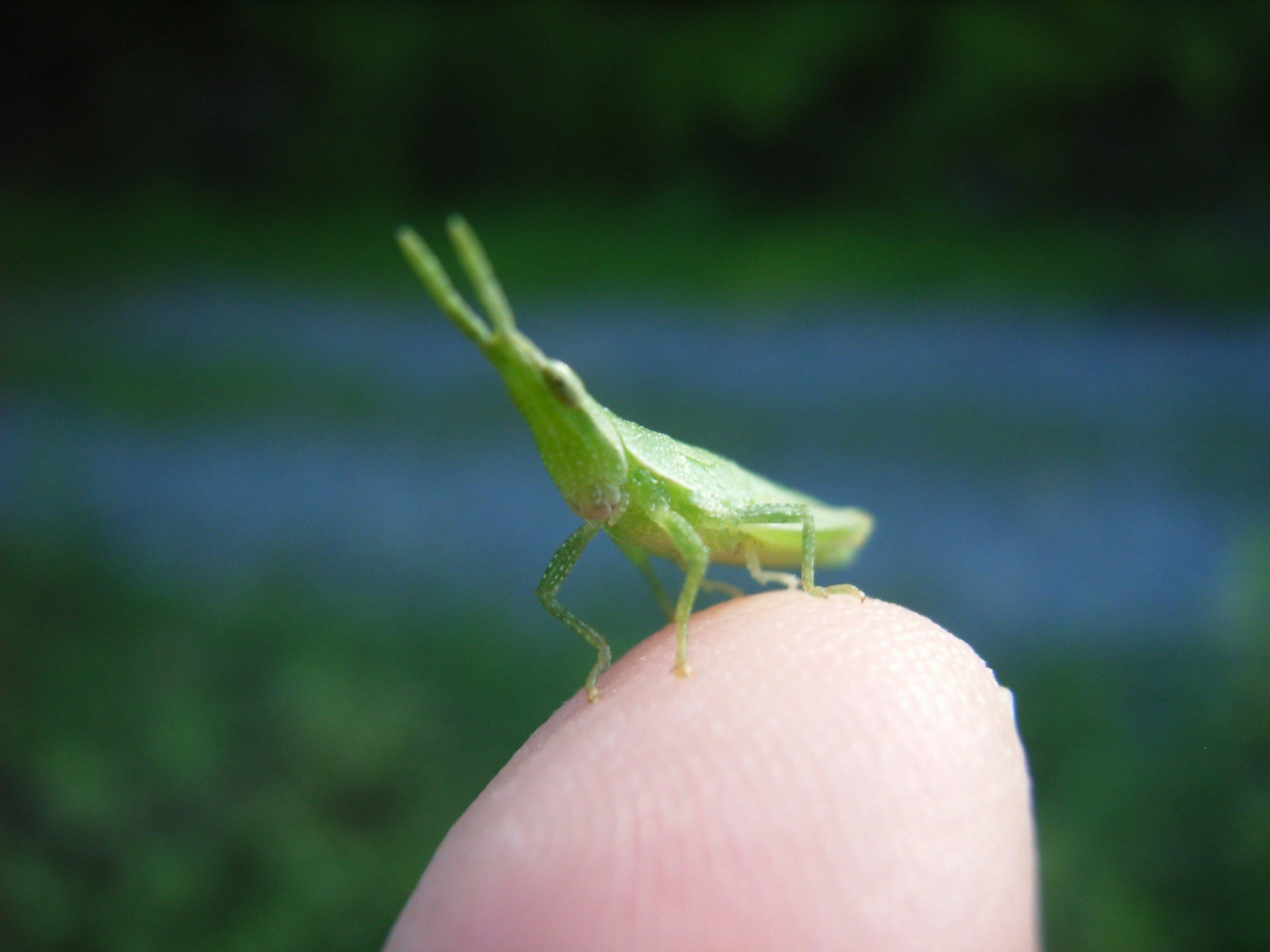 Free Unsplash photo from S A