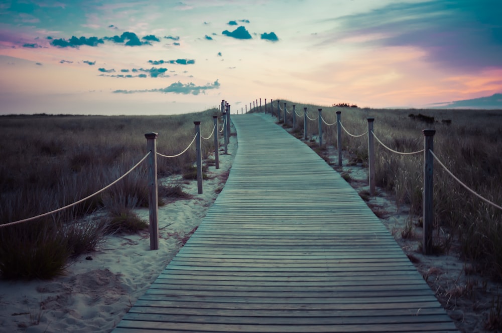 brown wooden plank pathway under cloudy skies