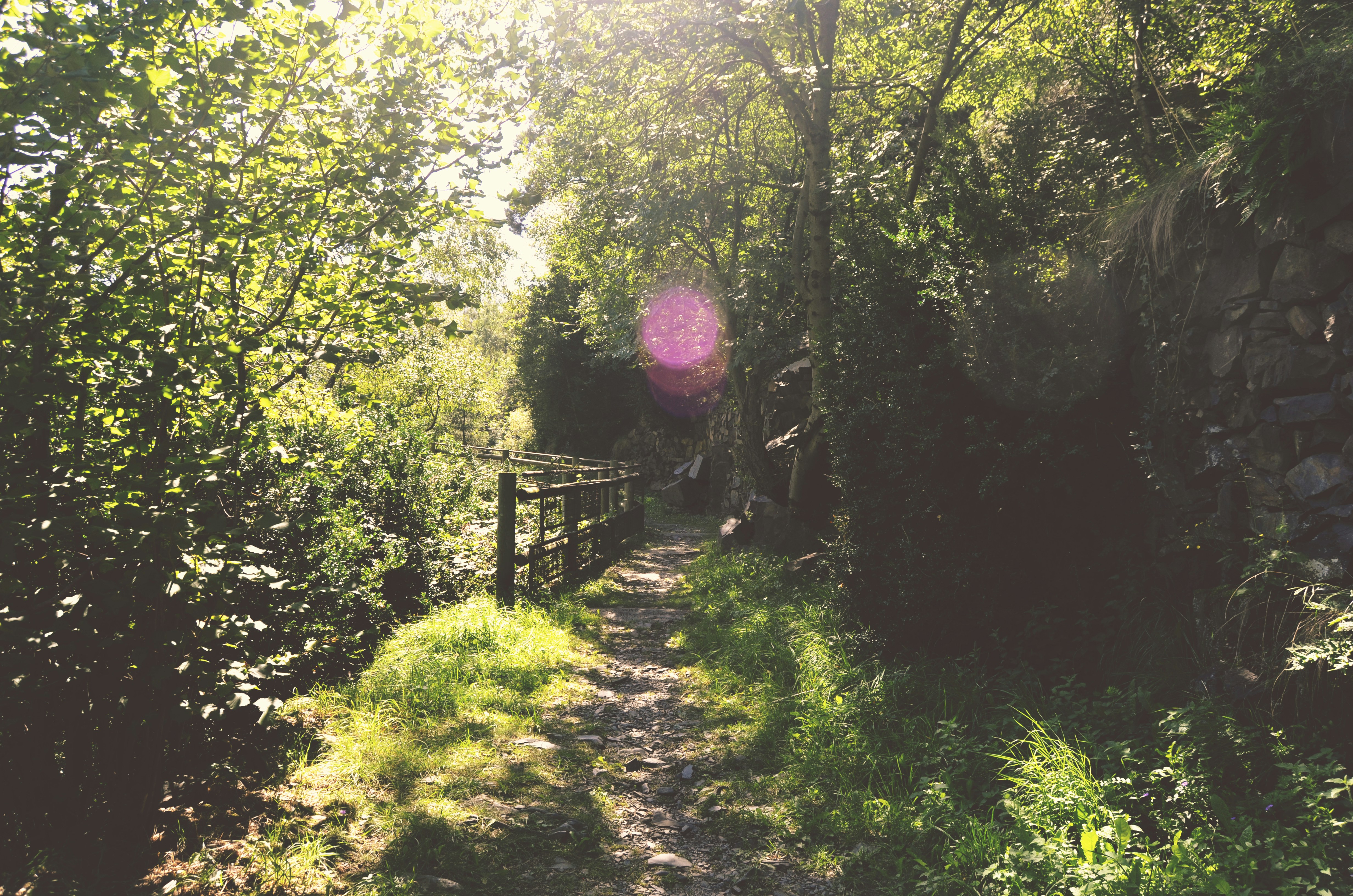 Free Unsplash photo from Beatriz Álvarez