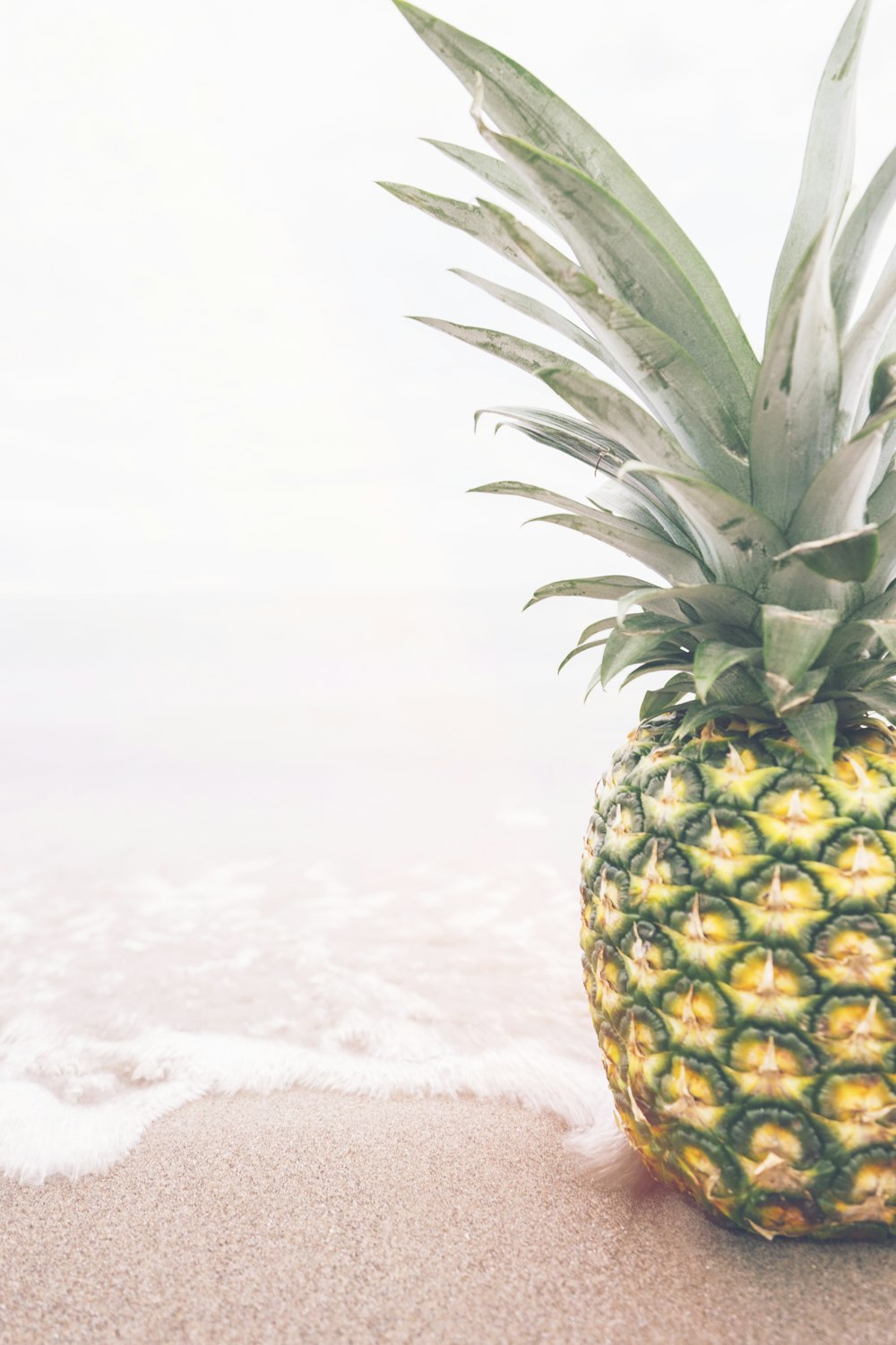 Ananas vicino alla riva del mare