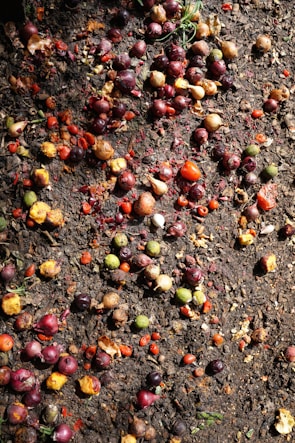 A variety of small fruits and vegetables, including onions and tomatoes, are scattered across damp, earthy soil. The produce appears to be discarded, with some partially decomposed and others still intact, creating a mix of textures among the organic matter.