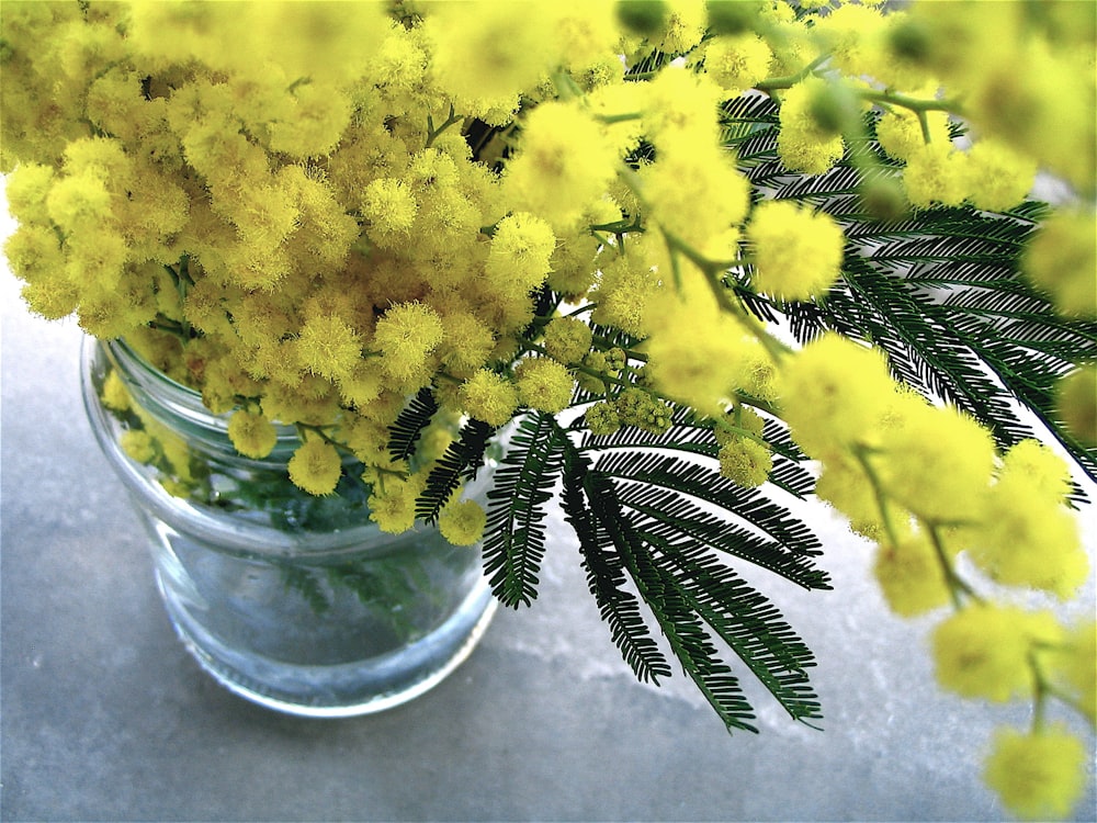 Composizione floreale gialla su superficie grigia