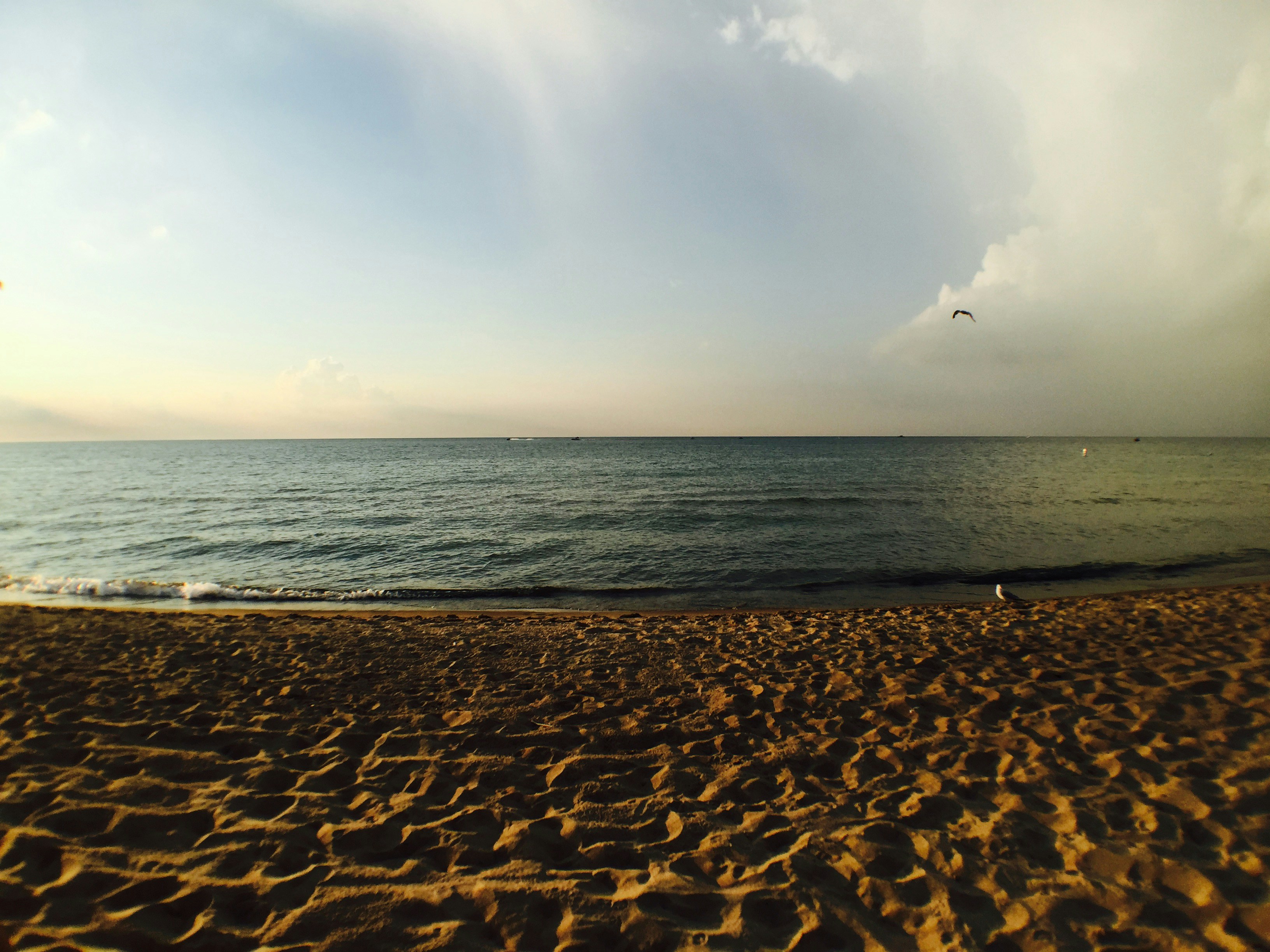 Free Unsplash photo from Nikki Keller