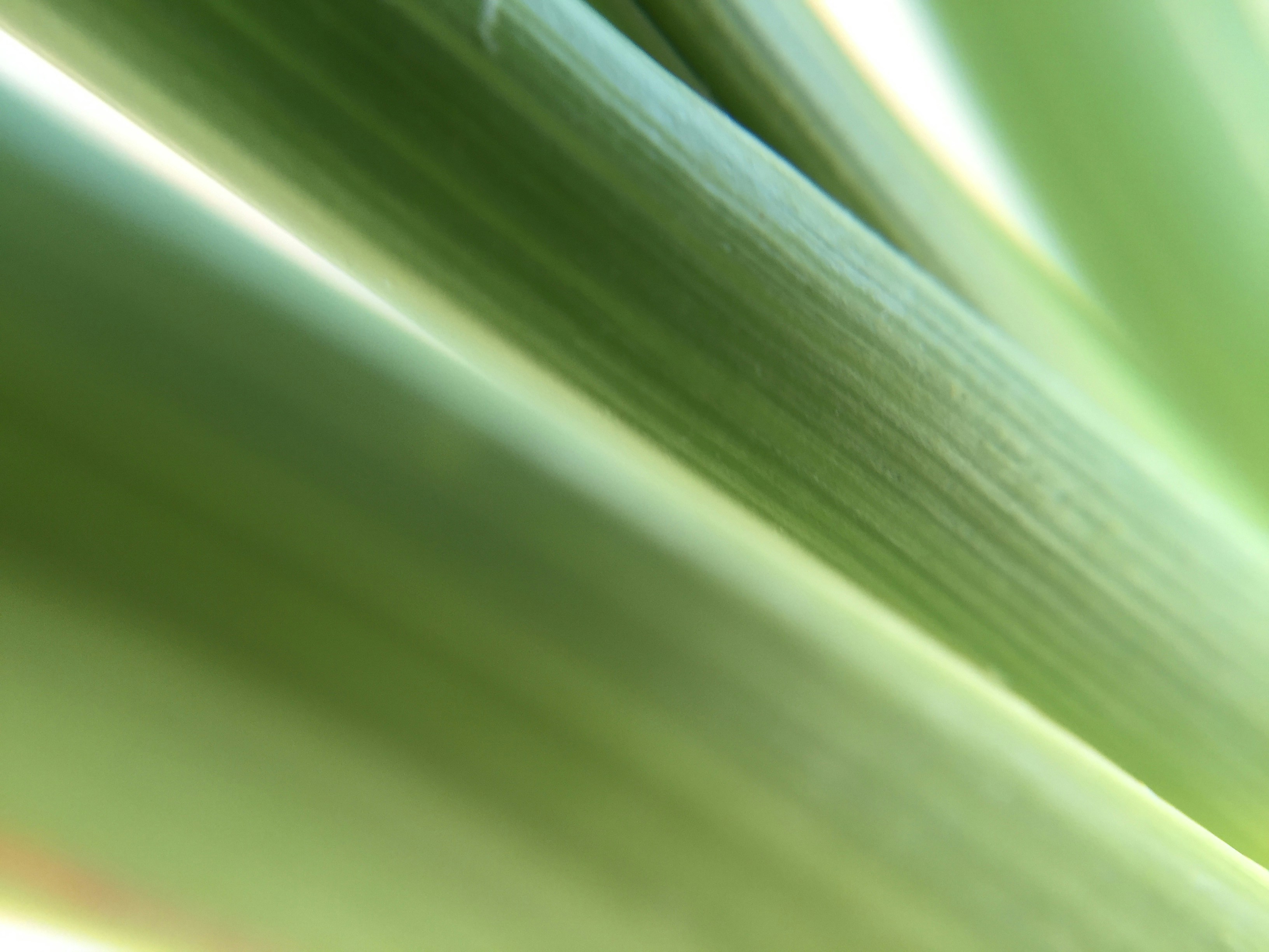 Free Unsplash photo from Nikki Keller