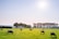 herd of dairy cattles on field
