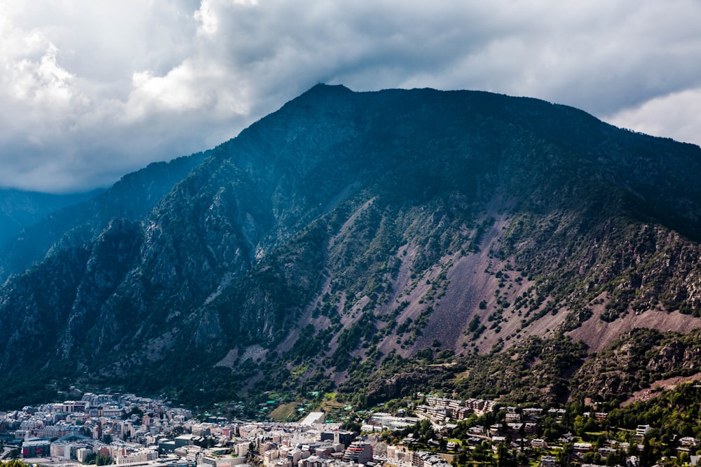 mountains with trees