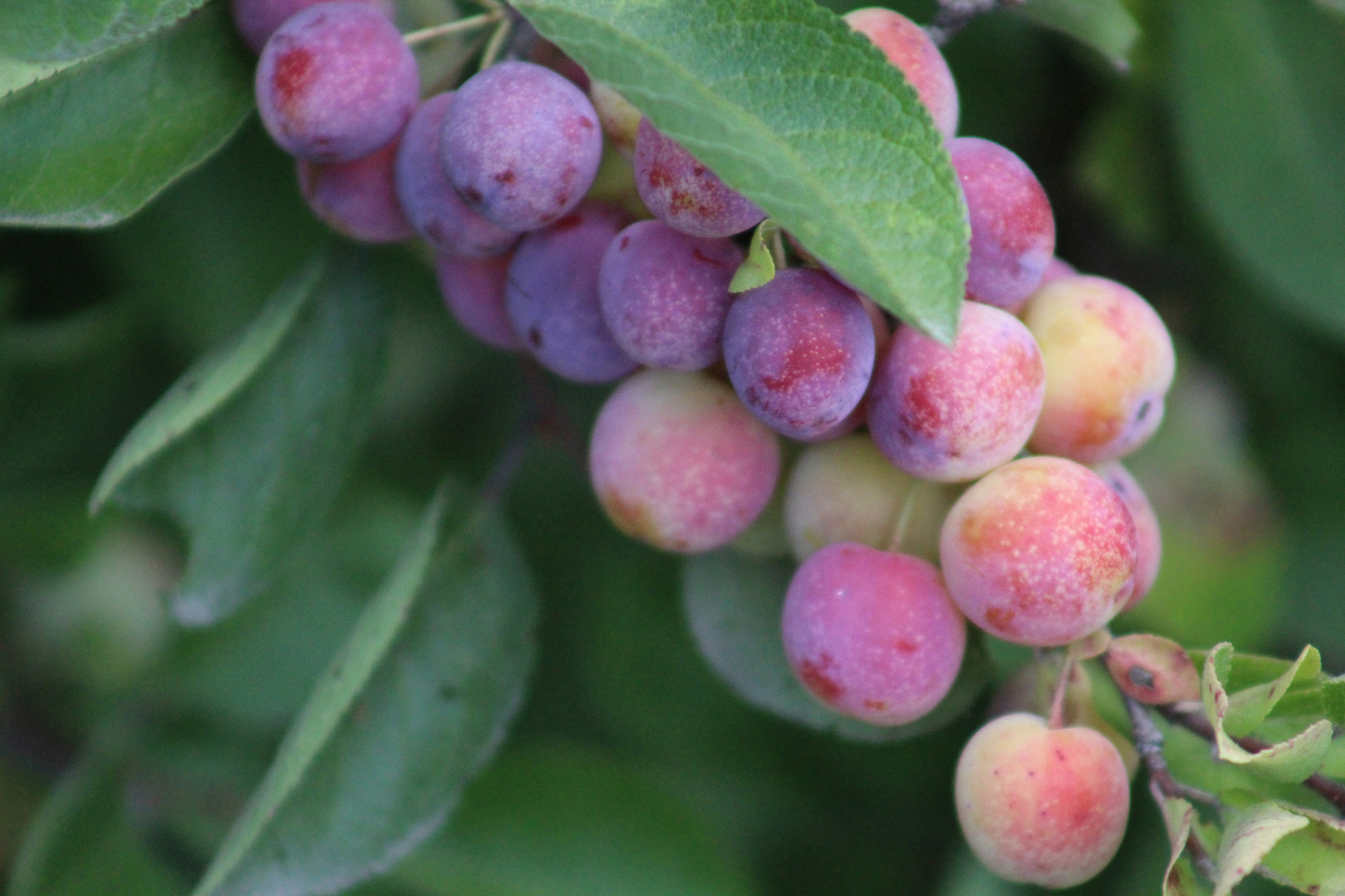 Free Unsplash photo from beth taber