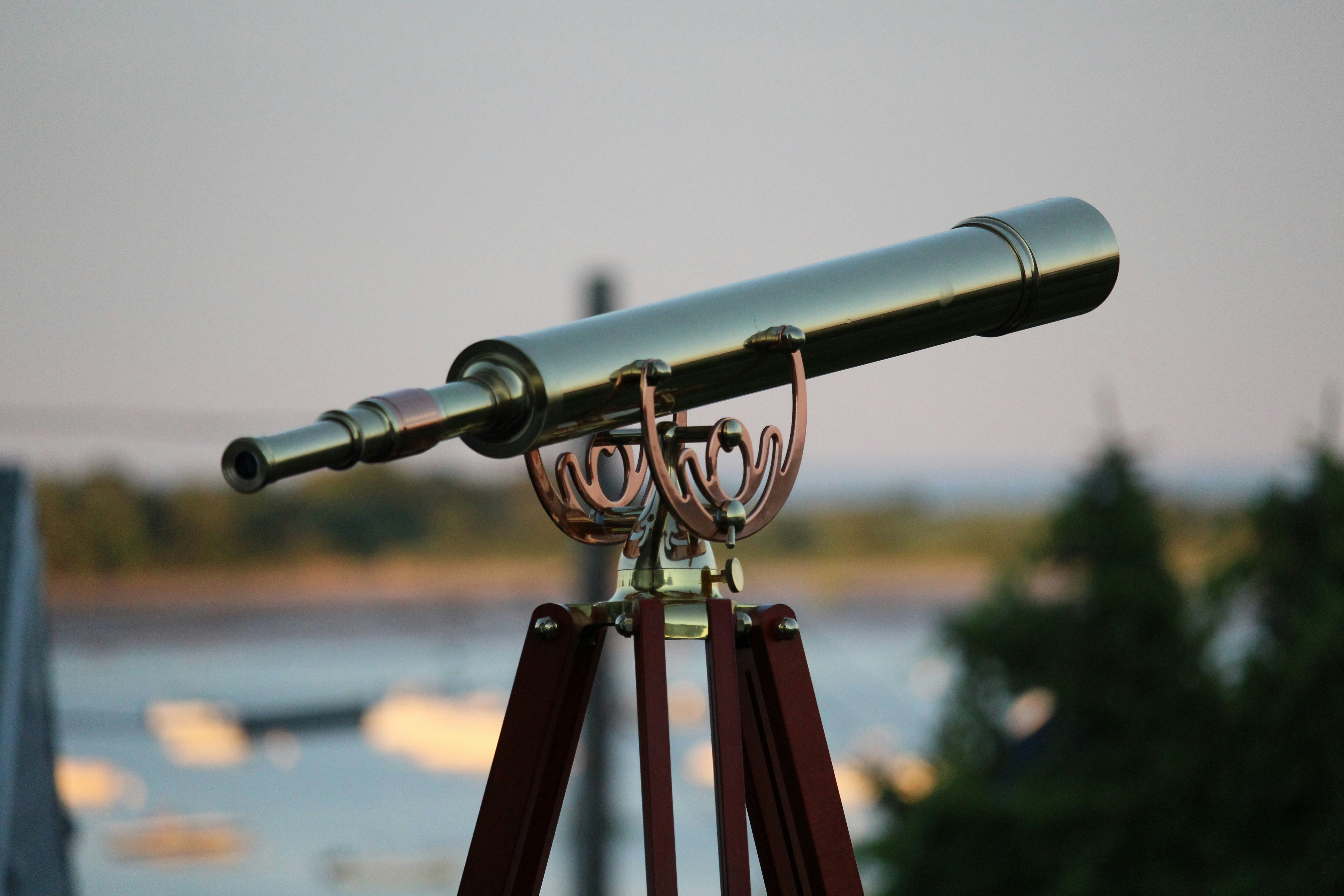 Free Unsplash photo from beth taber