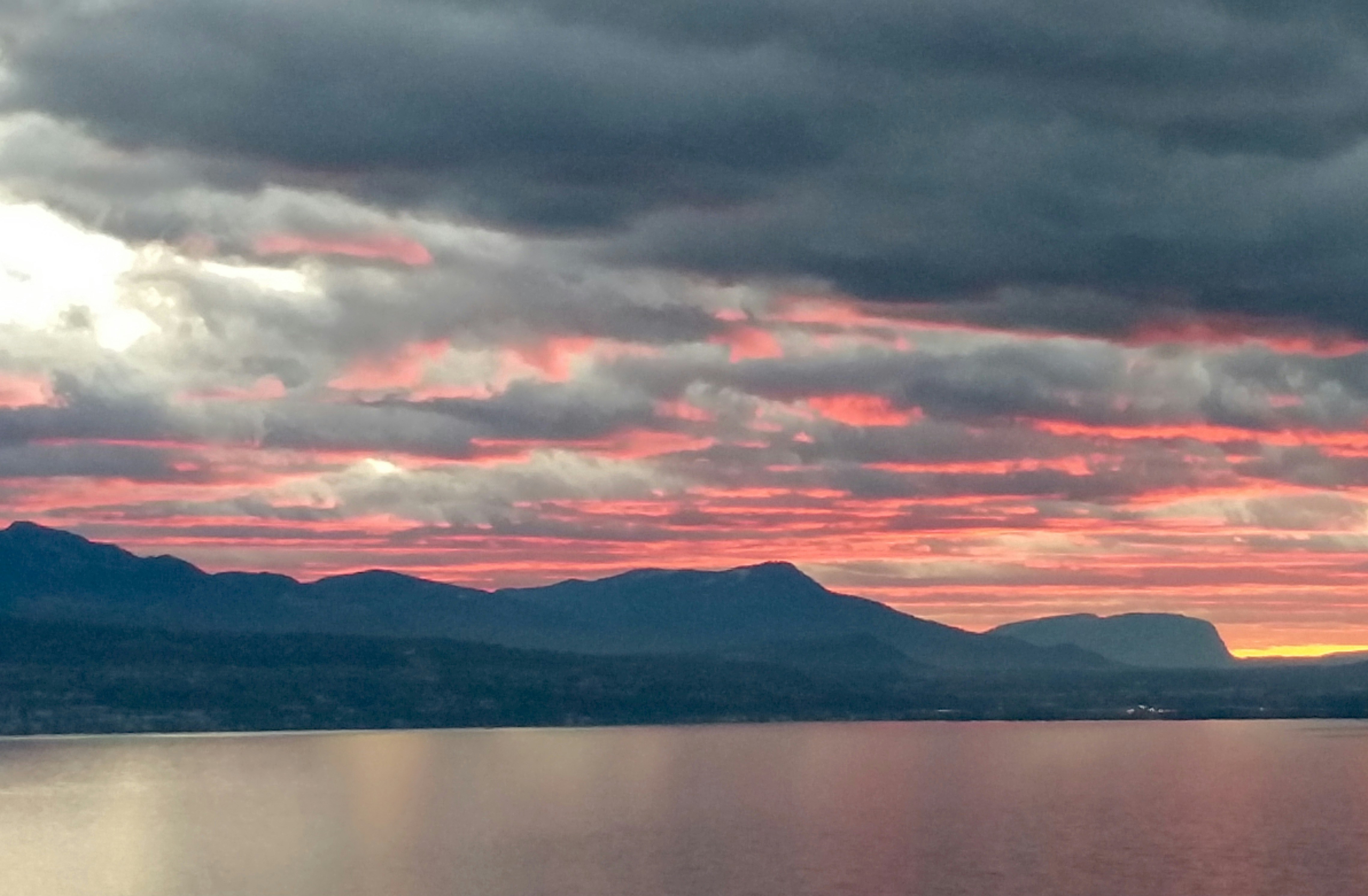 Free Unsplash photo from Florian Rod