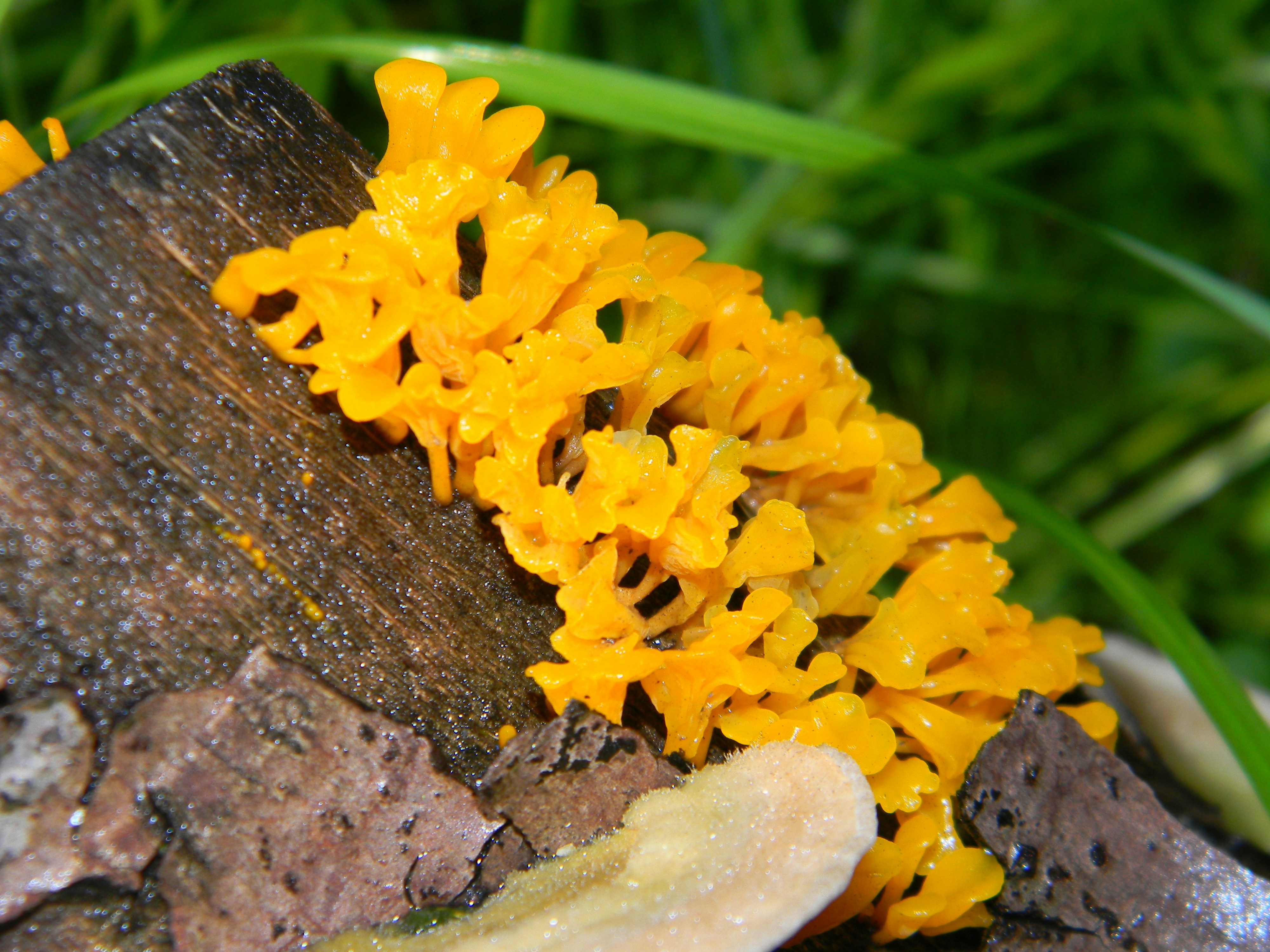 Free Unsplash photo from Cristina Squella