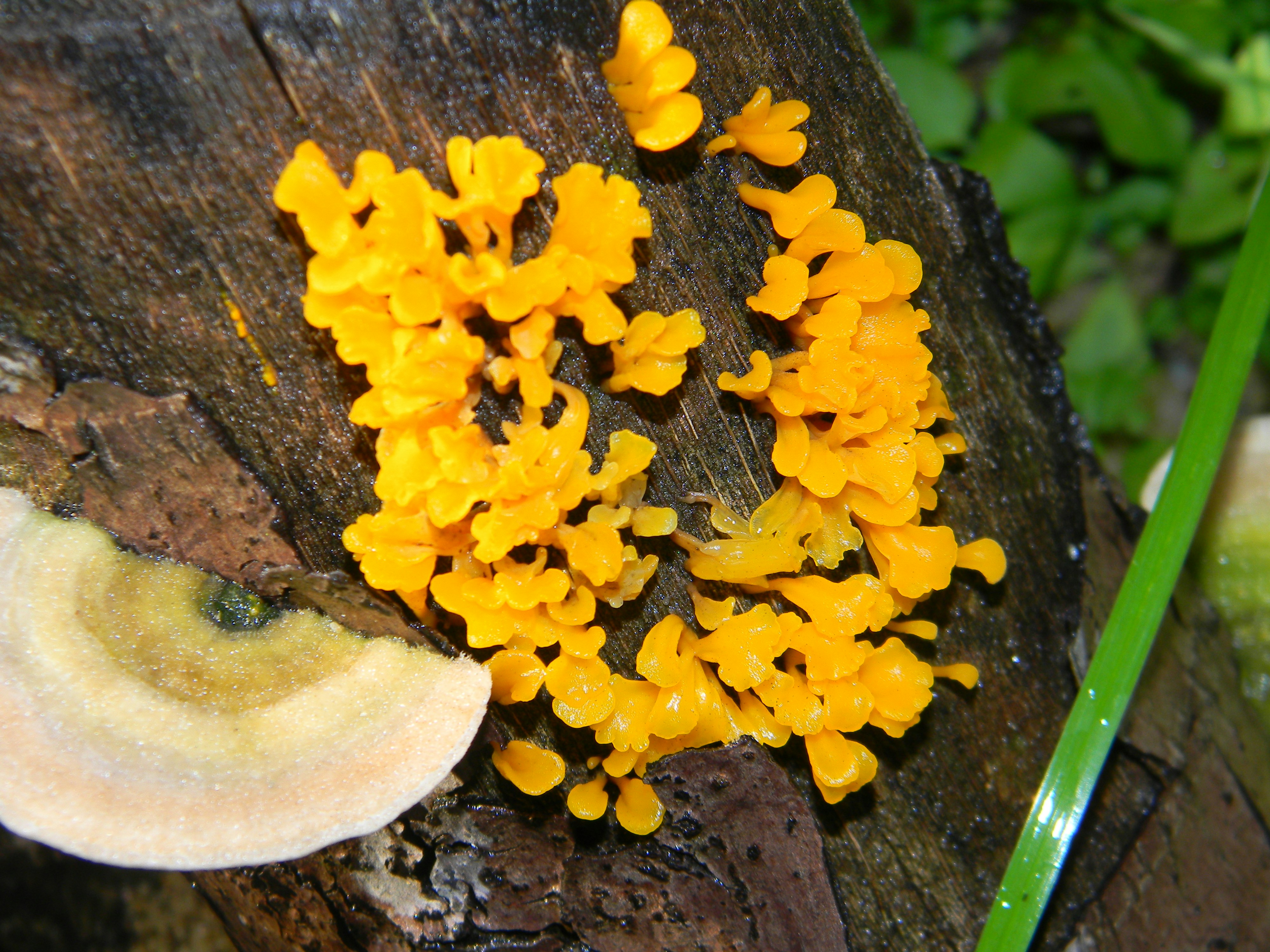 Free Unsplash photo from Cristina Squella