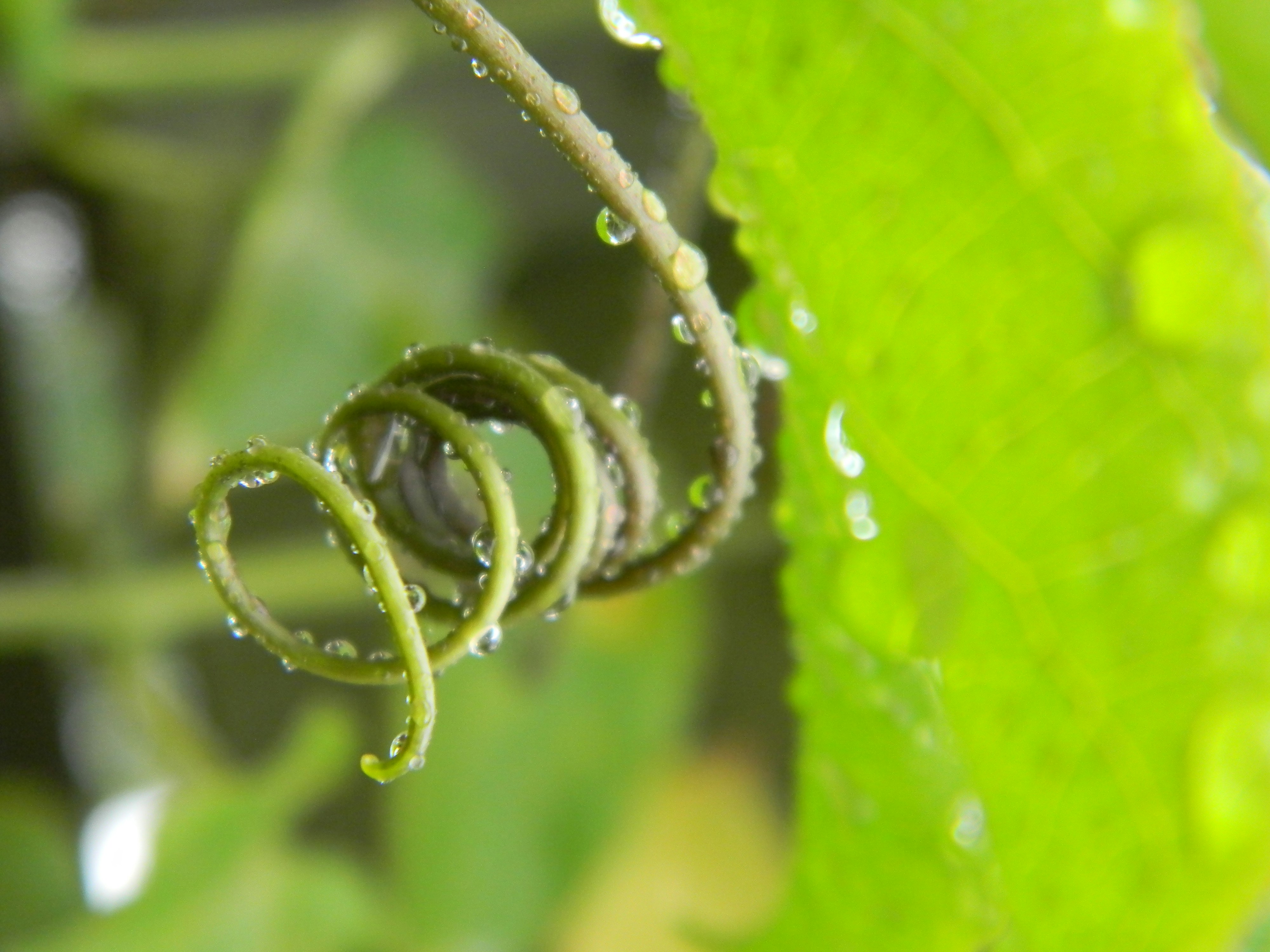 Free Unsplash photo from Cristina Squella