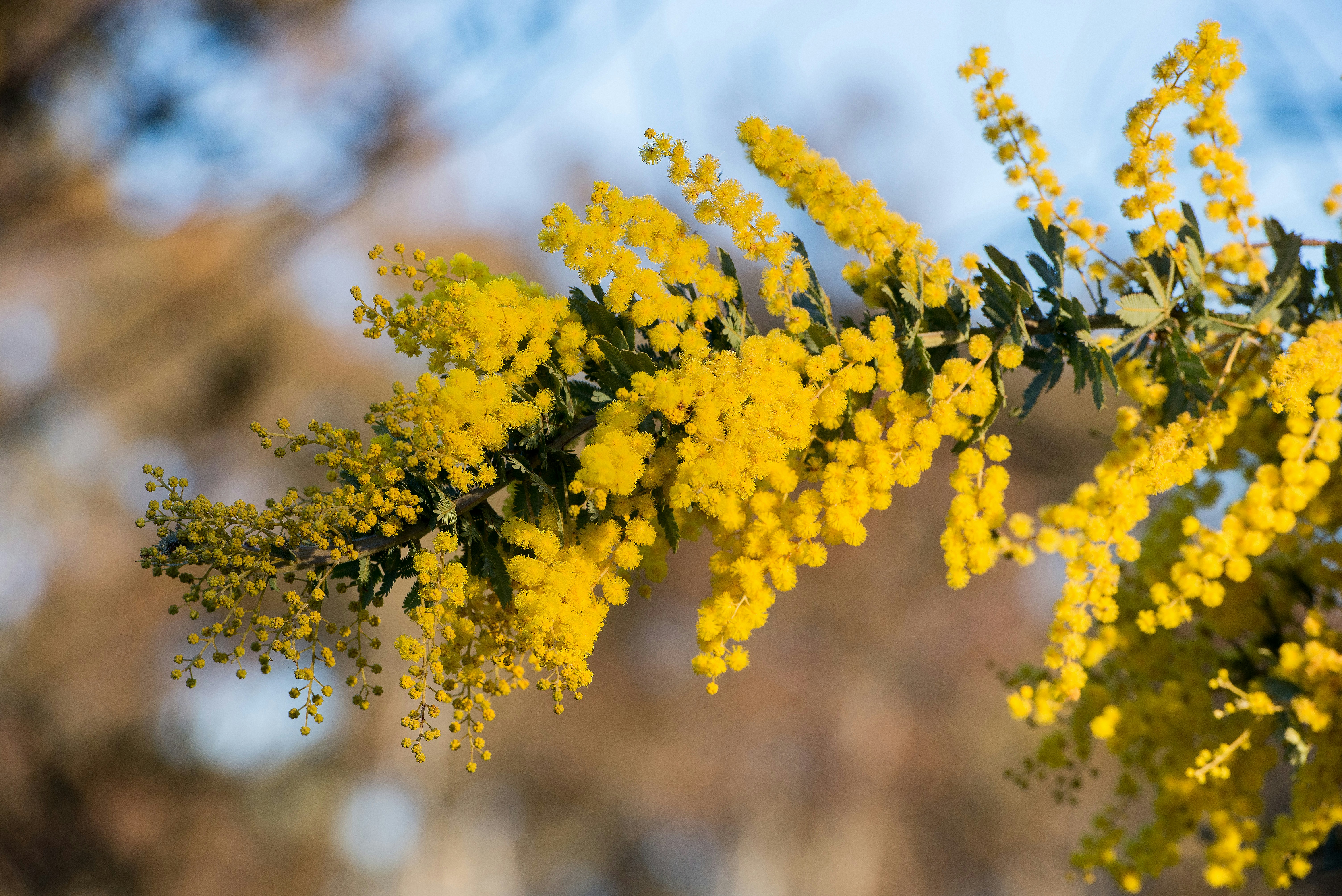 Free Unsplash photo from Steven Foster