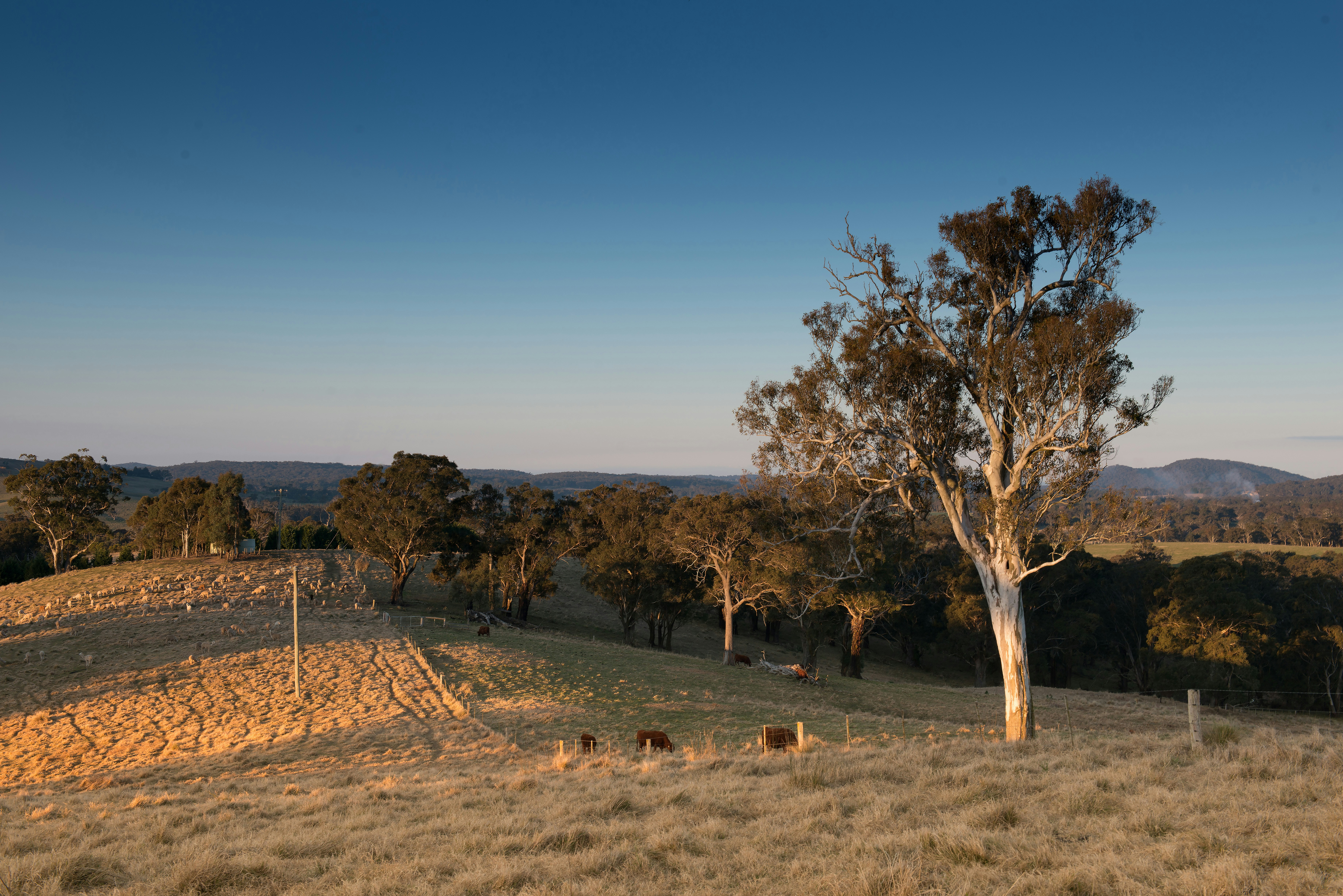 Free Unsplash photo from Steven Foster