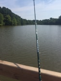 An angler casting a line into a calm lake surrounded by lush greenery.
