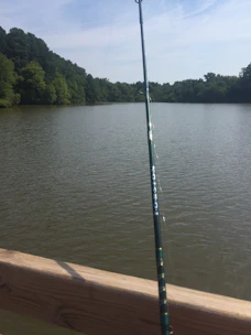 A fisherman casting a line into a calm lake surrounded by trees.