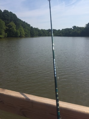 An angler casting a line into a calm lake surrounded by lush greenery.
