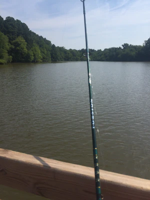 A fisherman casting a line into a calm lake surrounded by trees.