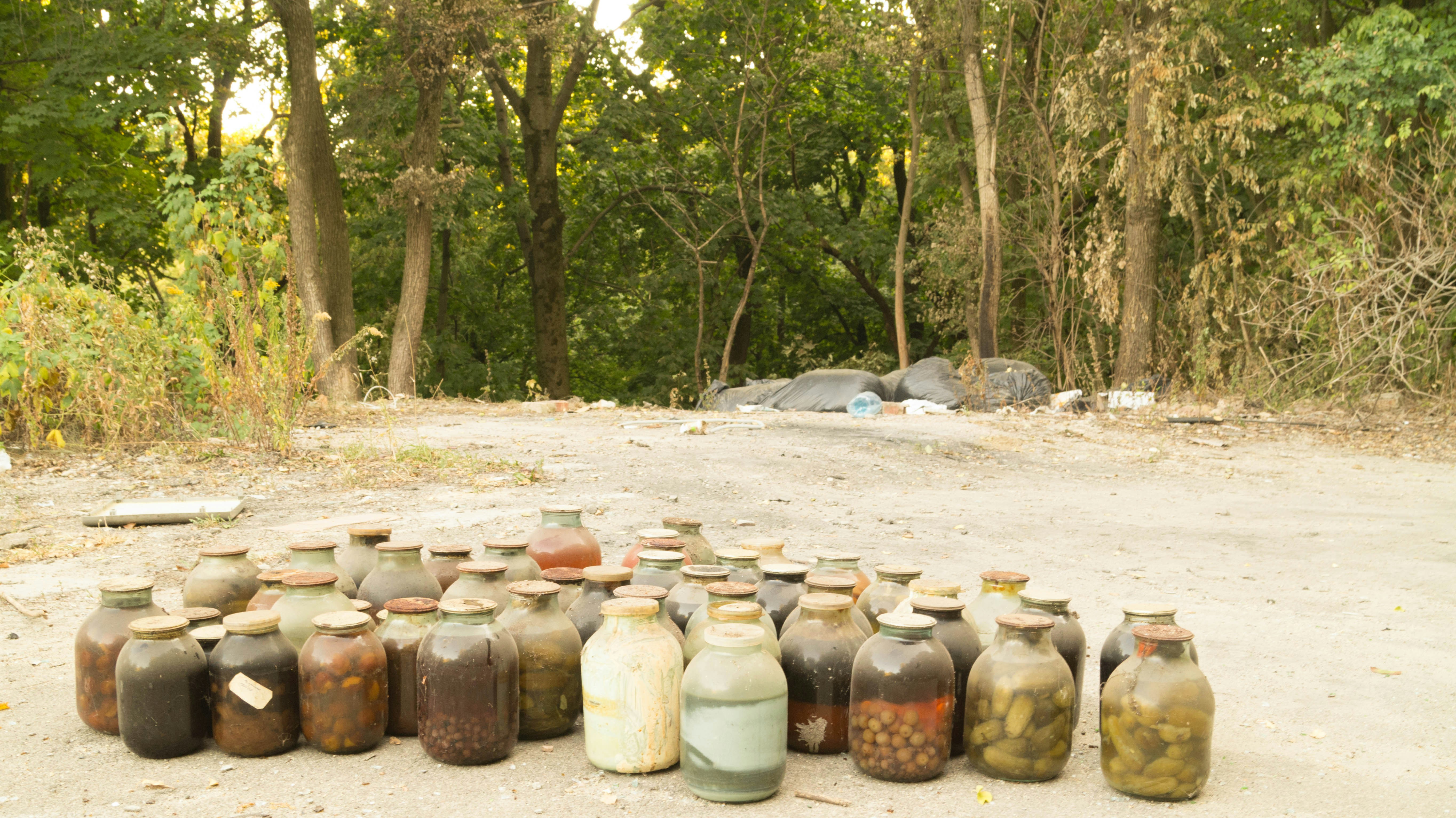 Free Unsplash photo from Jim Ross