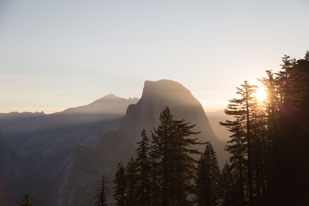 Fotografía de paisaje de árboles y montaña