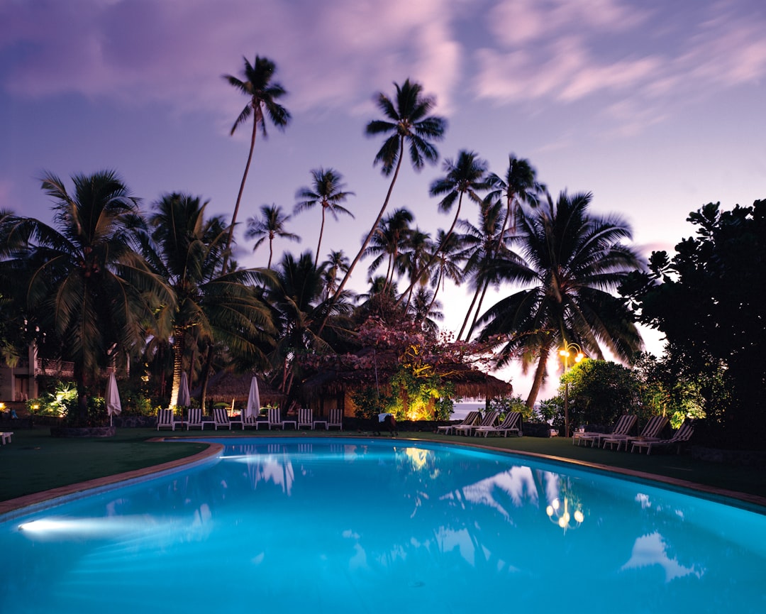 photo of swimming pool surrounded by trees