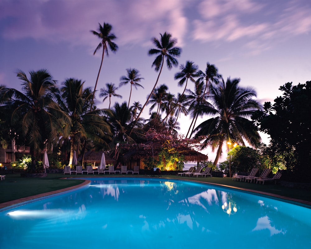 foto da piscina rodeada por árvores