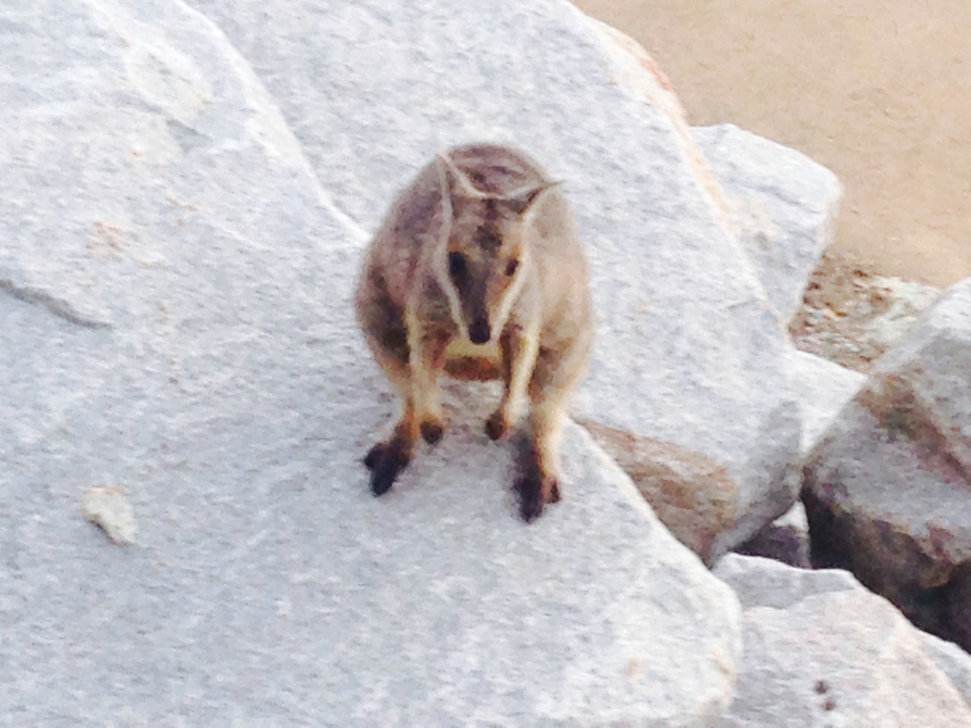 Free Unsplash photo from Paul Milway