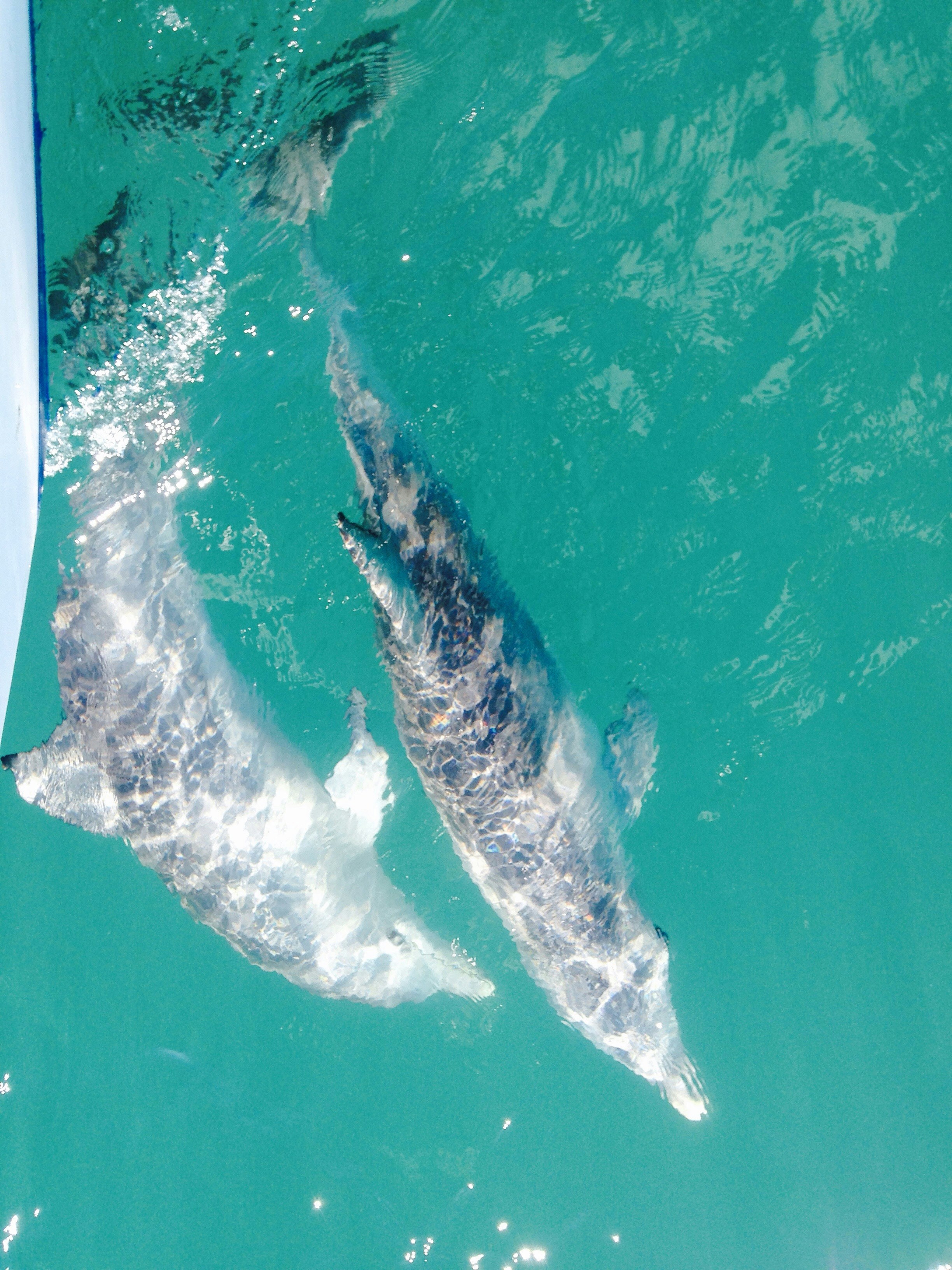 Free Unsplash photo from Paul Milway