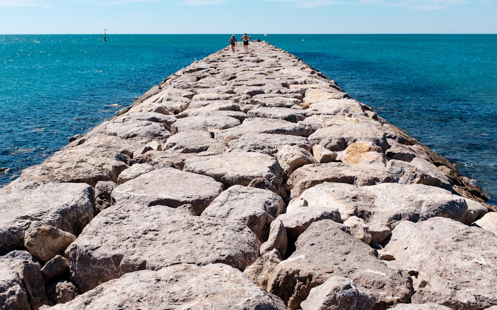 people walking near ocean during daytime