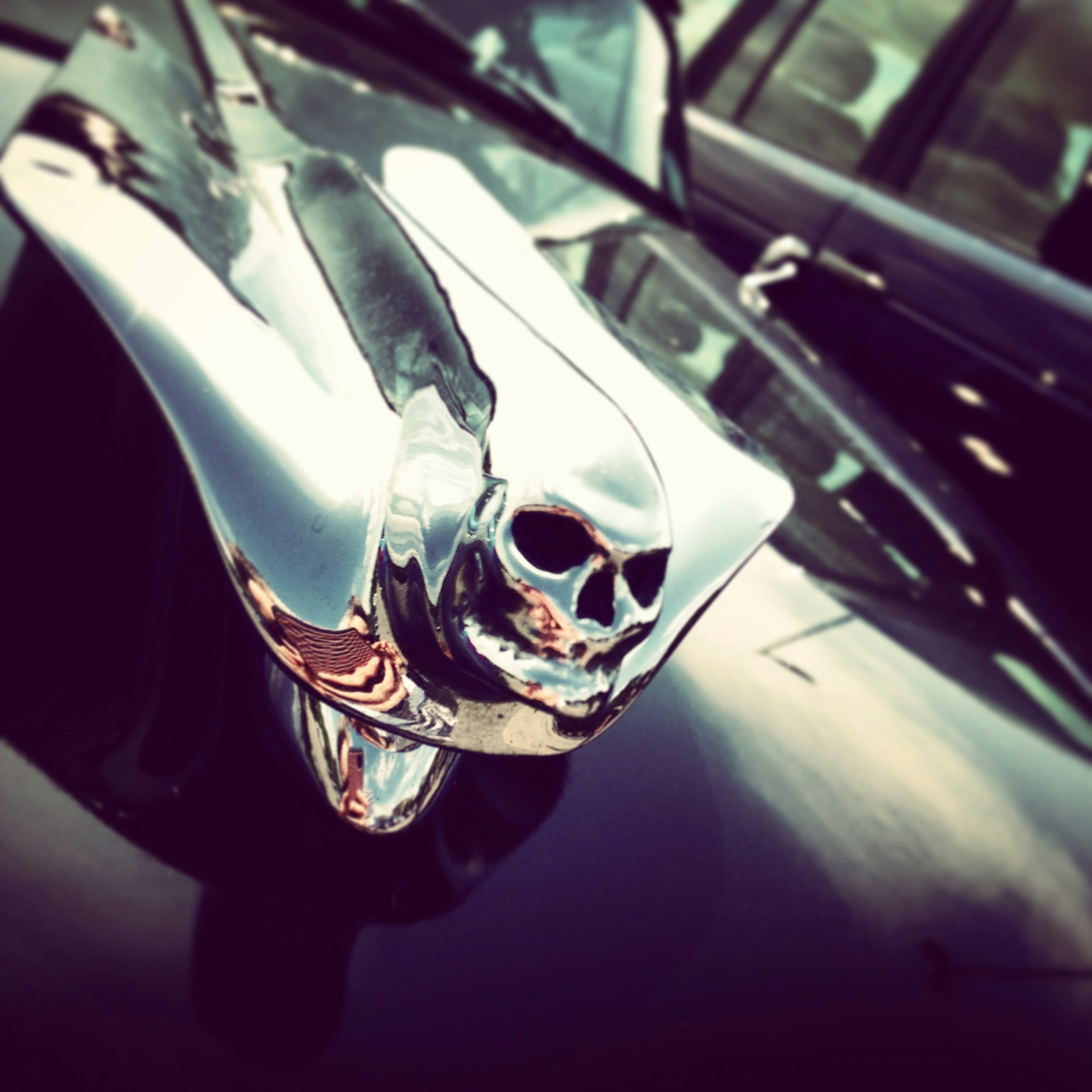 Free Unsplash photo from sean holden