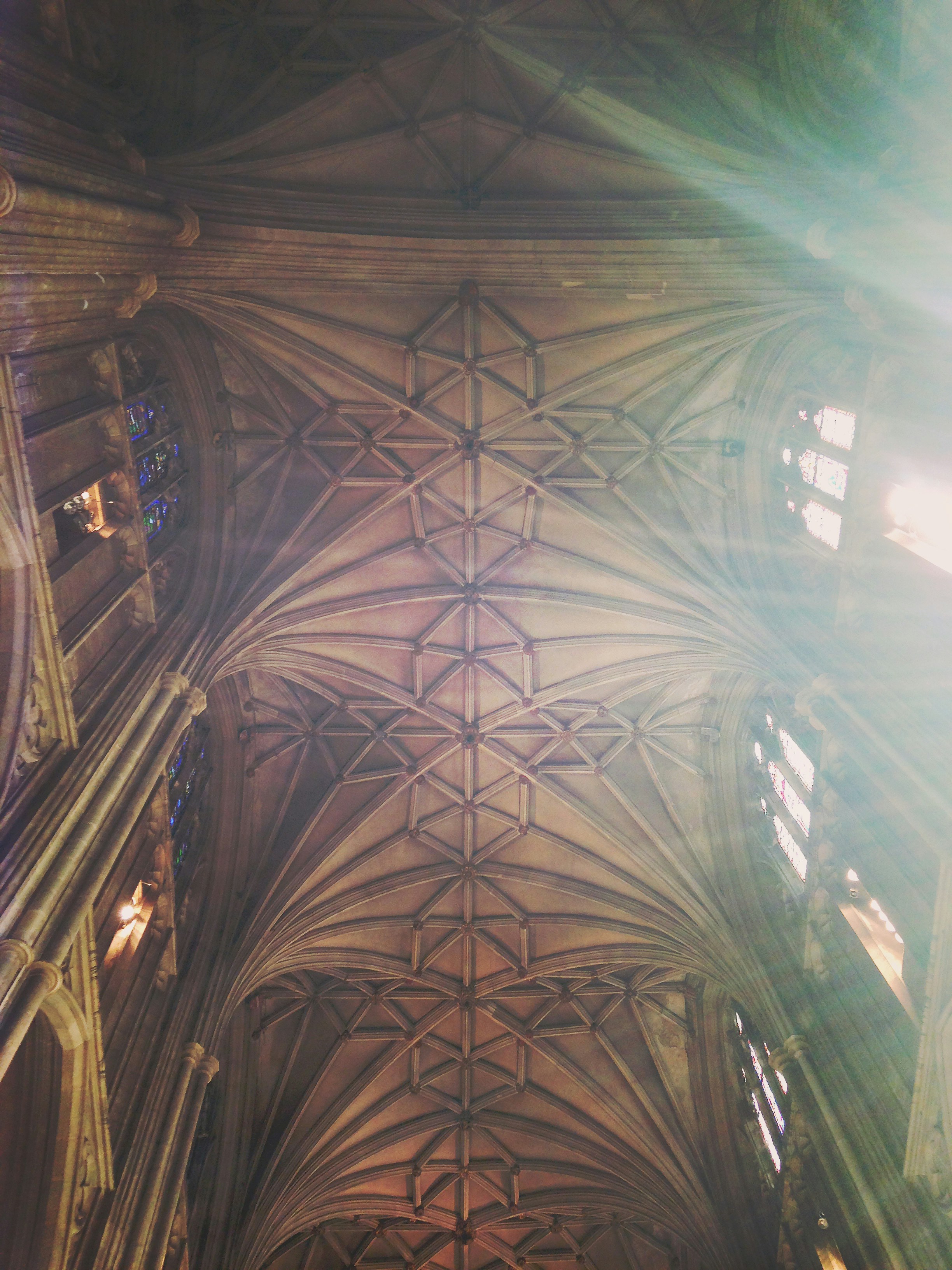 Free Unsplash photo from sean holden