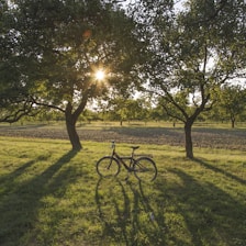 black bicycle on green grass field during sunset