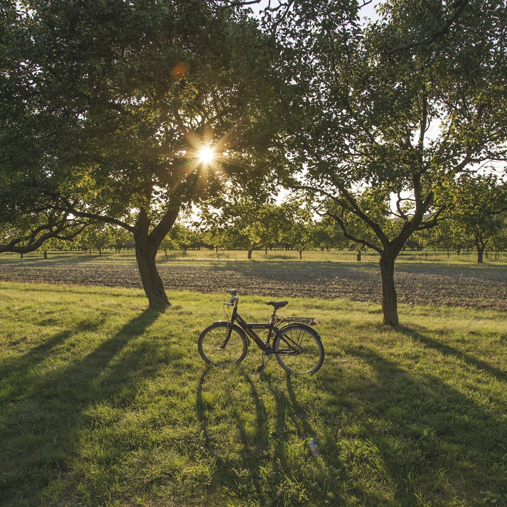 vélo noir sur le champ d’herbe verte au coucher du soleil