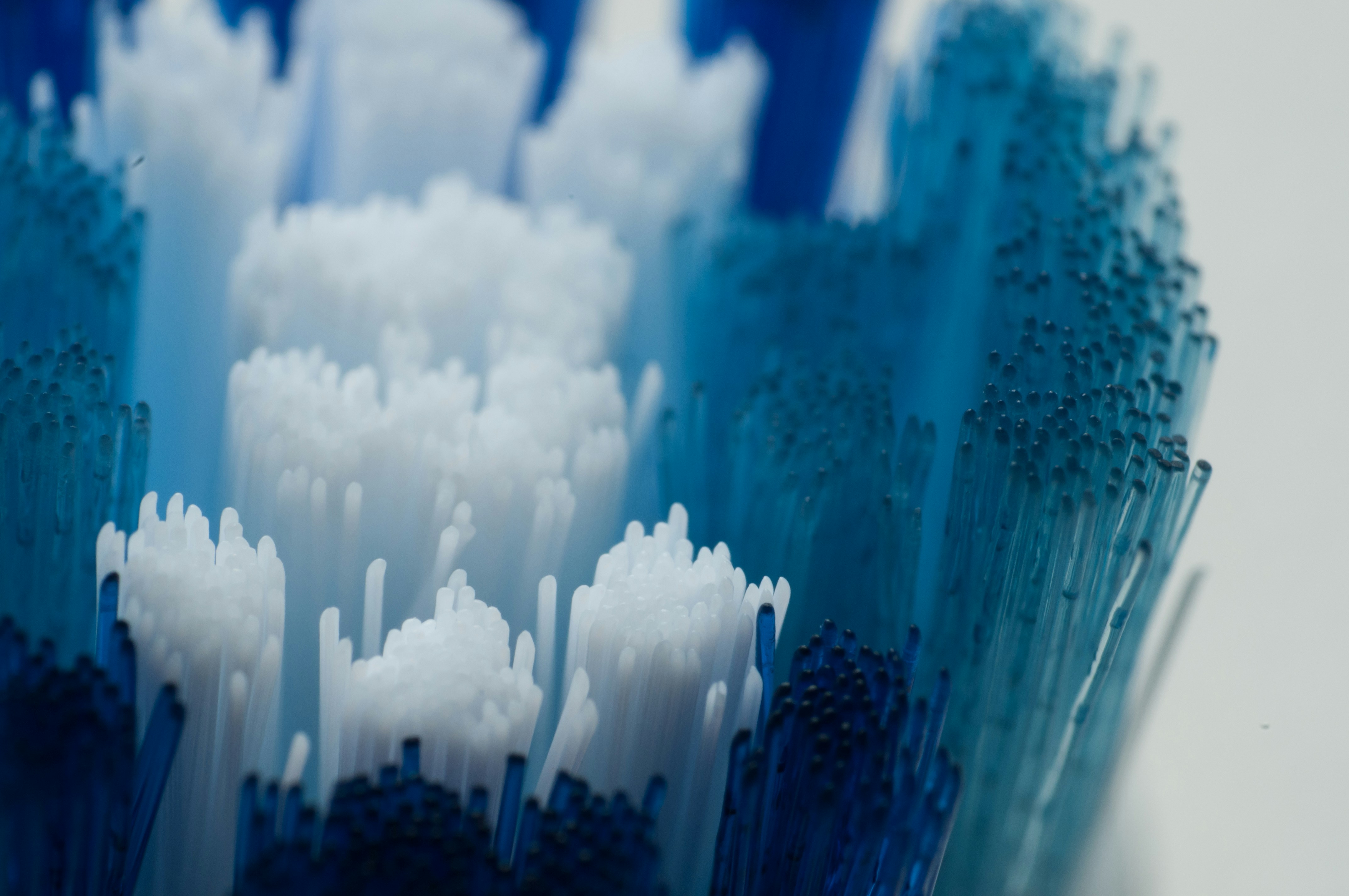 Free Unsplash photo from Timo Vijn