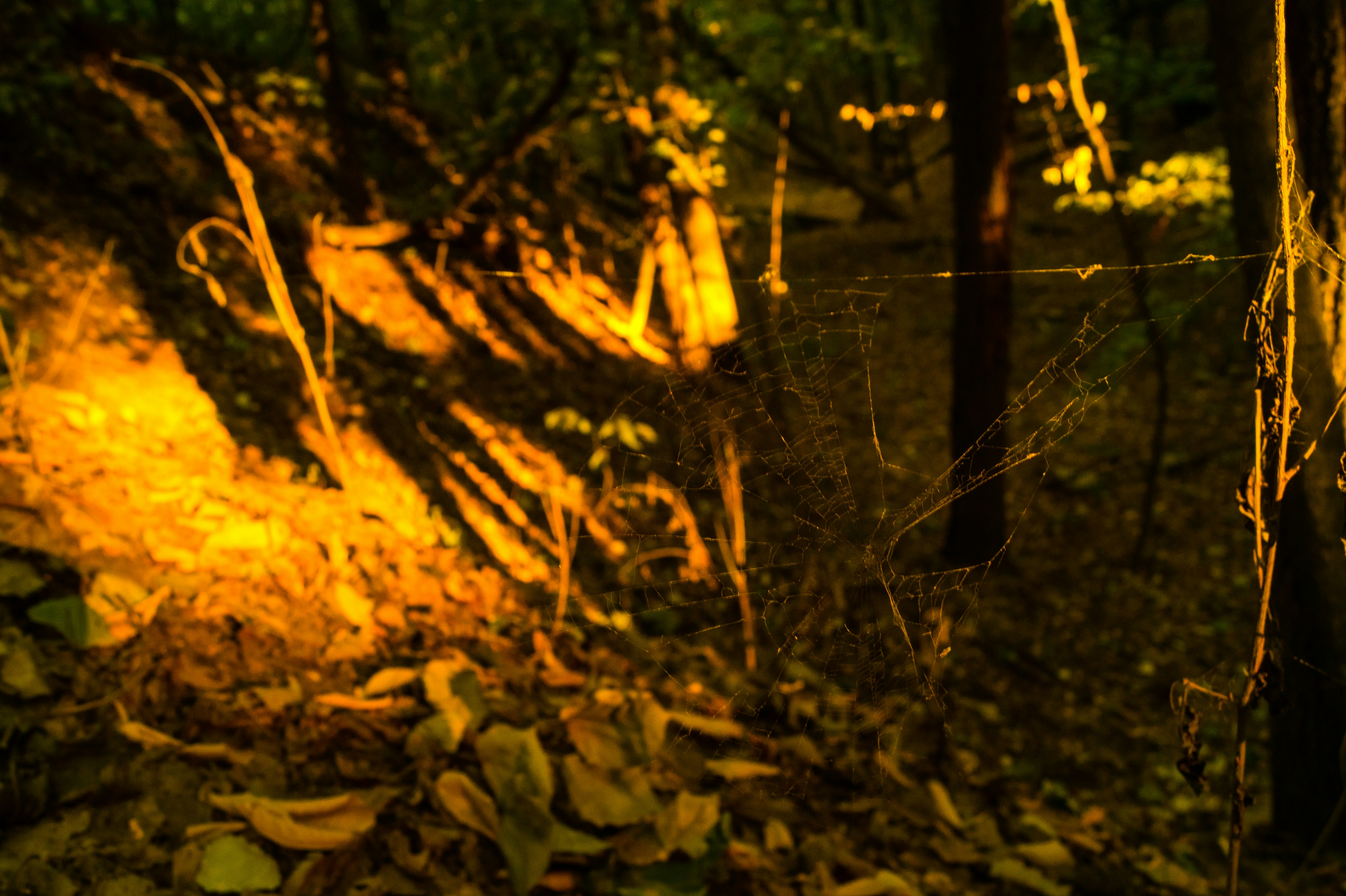 Free Unsplash photo from Jim Ross