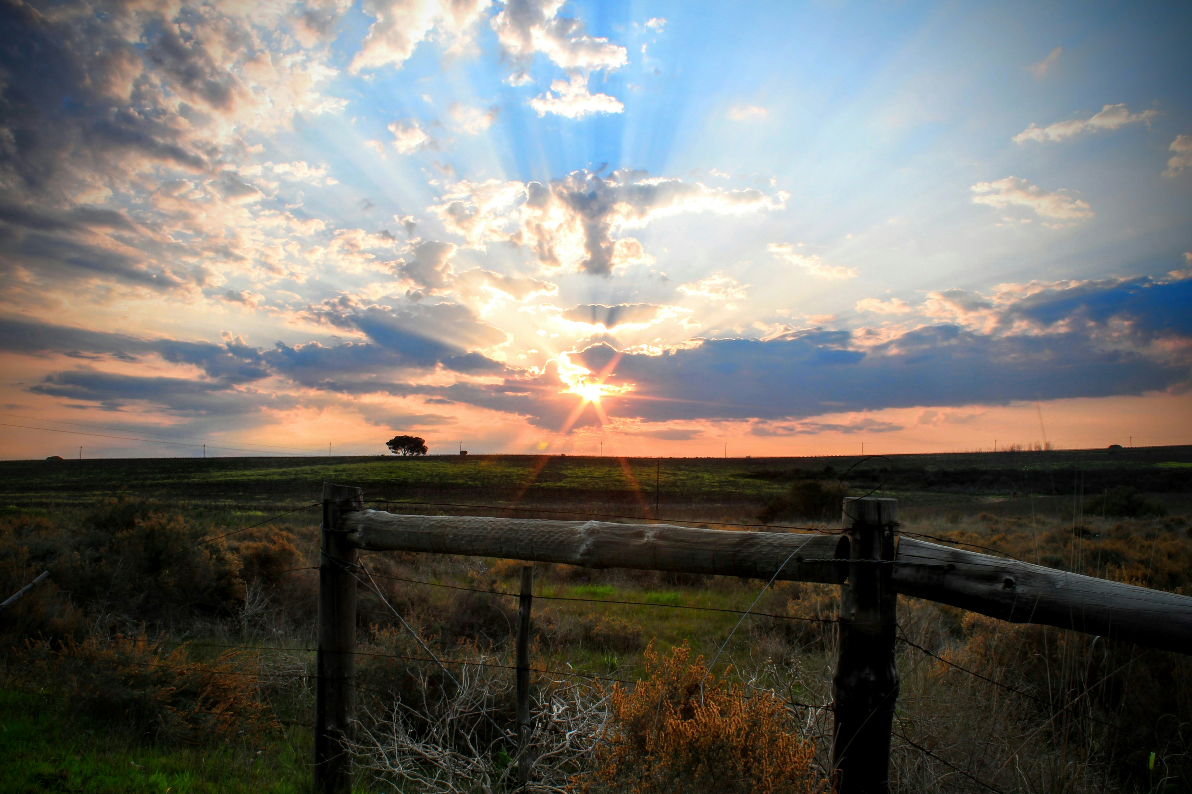 Free Unsplash photo from Rudi Strydom