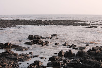 Researchers deploying wave sensors along a rocky shoreline at sunrise.
