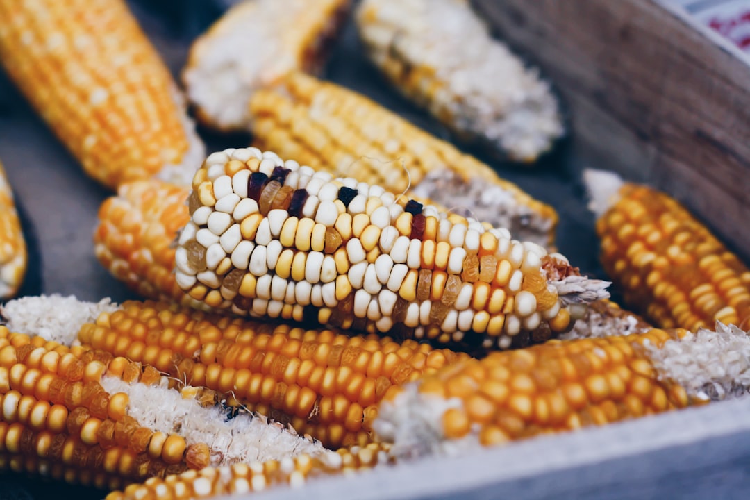 corns on black surface