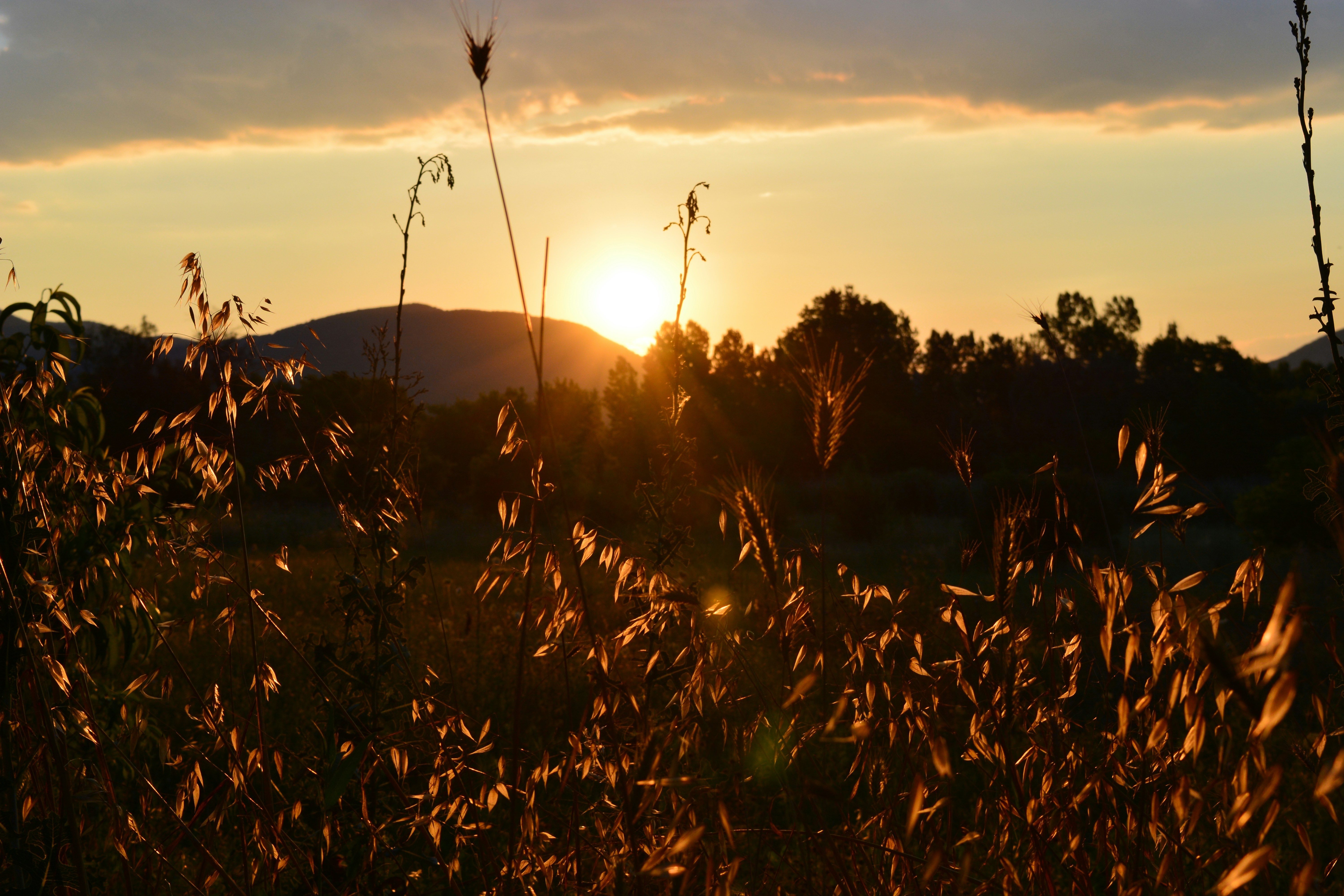 Free Unsplash photo from Kostantina Karas