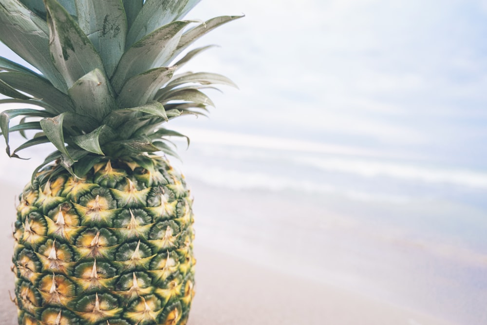 pineapple with body of water background