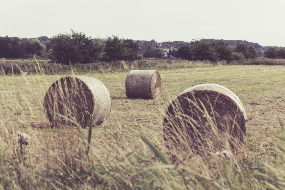 Tres pilas de heno en el campo