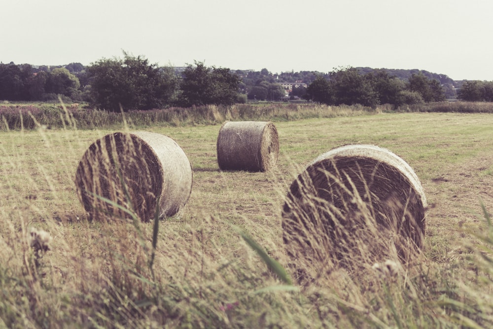 three hay stacks on field