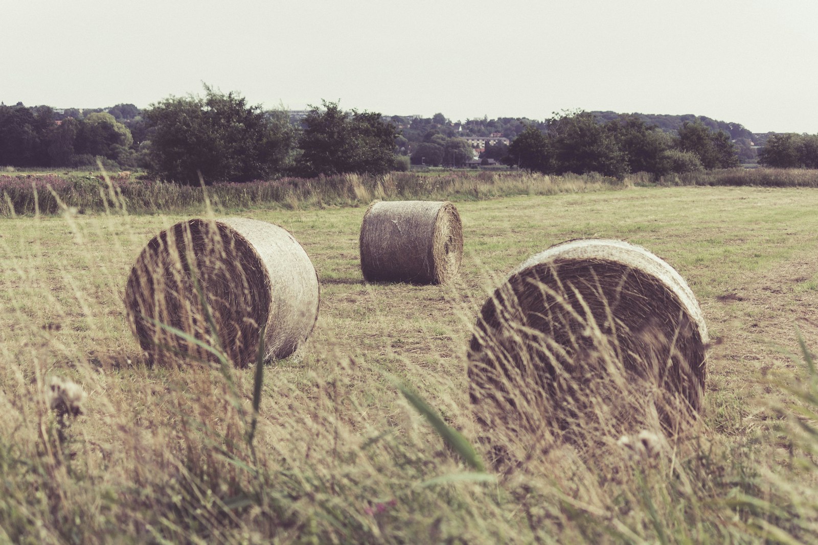 Canon EF-S 55-250mm F4-5.6 IS II sample photo. Three hay stacks on photography