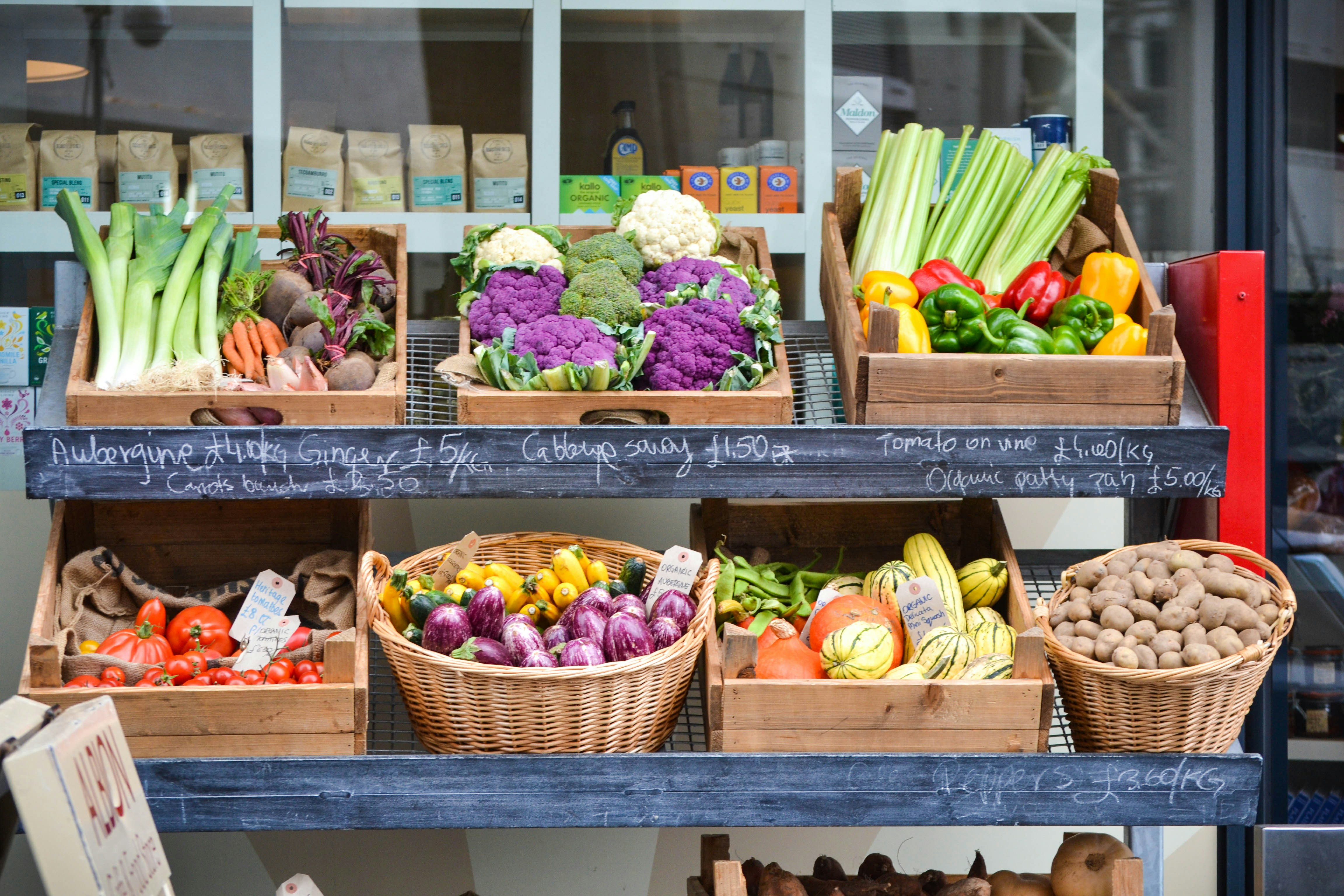 Free Unsplash photo from Felipe Benoit Photography