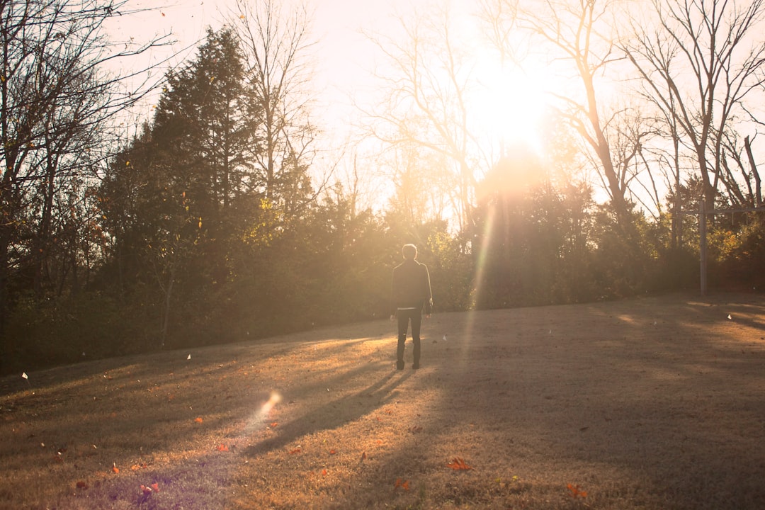 silhouette of man standing near tree