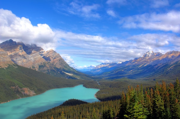 green lake between trees with mountain background