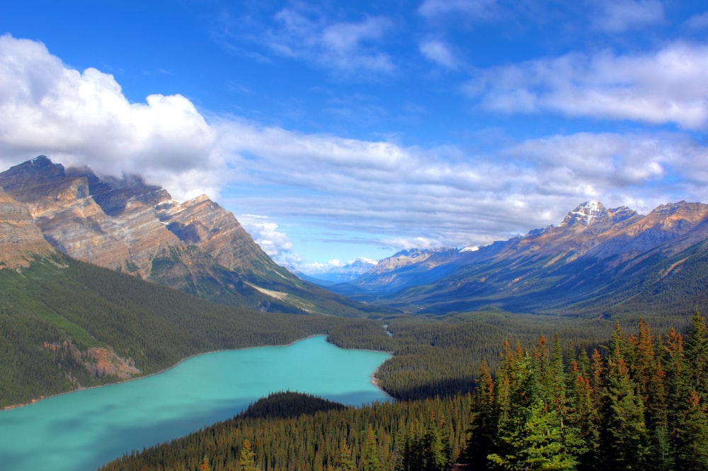 green lake between trees with mountain background